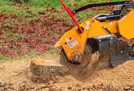 Best Pest Control for Lawns  in Dunmore, PA